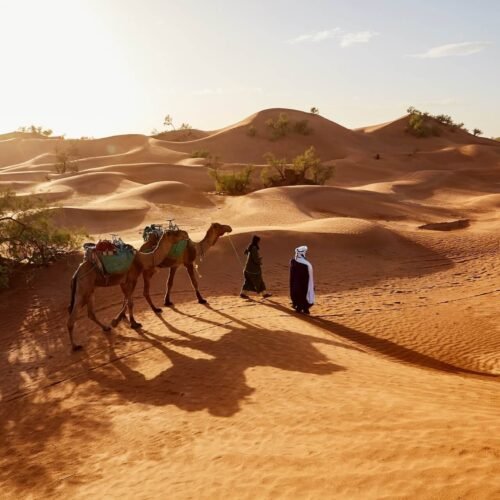 Dubai Red Dune Desert Safari